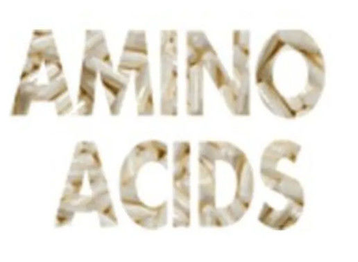 DL-Leucine